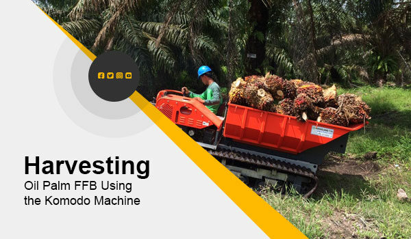 Harvesting Oil Palm FFB Using the Komodo Machine
