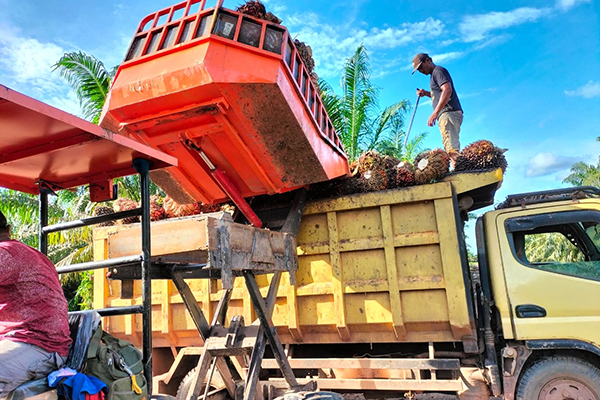 galeri-pt-inova-tangguh-perkasa-12 galeri-pt-inova-tangguh-perkasa-12